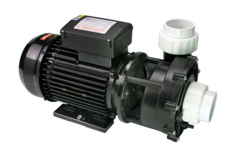  WP200-II Pump 2.0 HP, Dual Speed 150819-30