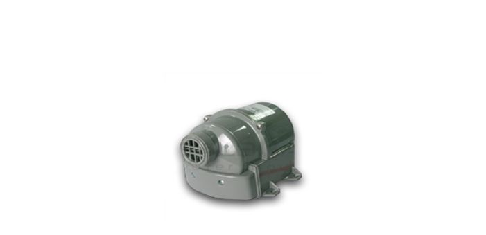 Spa Blowers